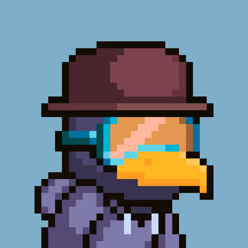 Bird Alpha Club 