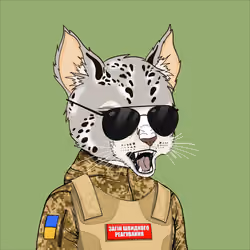 UACatsDivision #1861