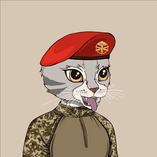 Sergii Raspopov (sraspopov.eth) Ethereum Name Service (ENS and .eth domain) PFP