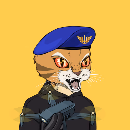 UACatsDivision #2805