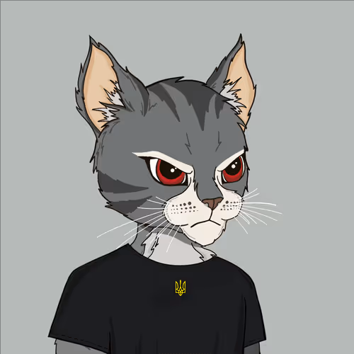 Vitalii Khyzhniak (khyzhniak.eth) Ethereum Name Service (ENS and .eth domain) PFP