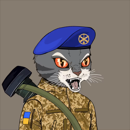 UACatsDivision #2843
