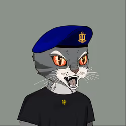 UACatsDivision #883