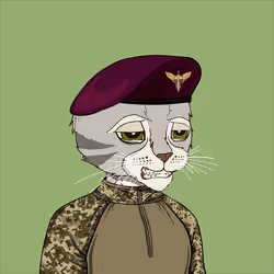 UACatsDivision #998