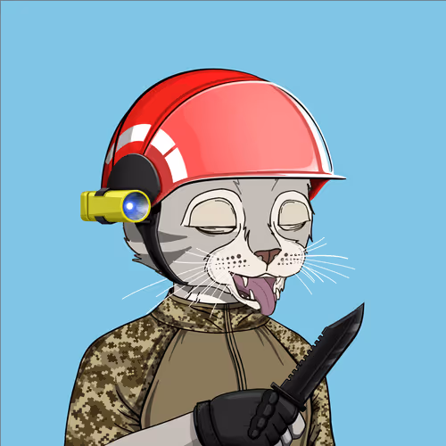 mikhailpochekai.eth Ethereum Name Service (ENS and .eth domain) PFP