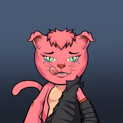 Kaiyocats #384