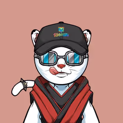 Kaiyocats #477