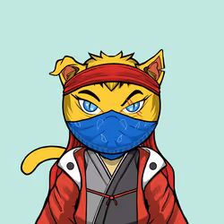 Kaiyocats #521