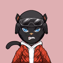 Kaiyocats #435