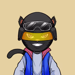Kaiyocats #476