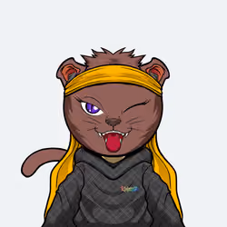 Kaiyocats #160