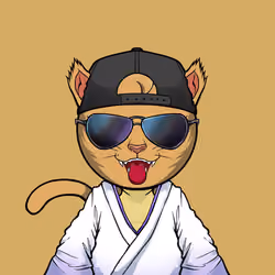 Kaiyocats #482