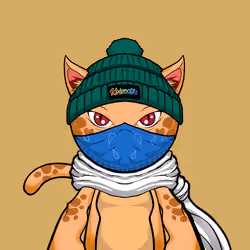 Kaiyocats #528