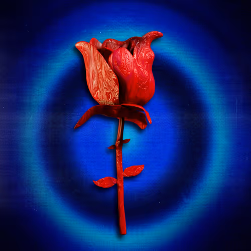 Fewoworld Flowers
