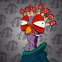 kung Fu ngus