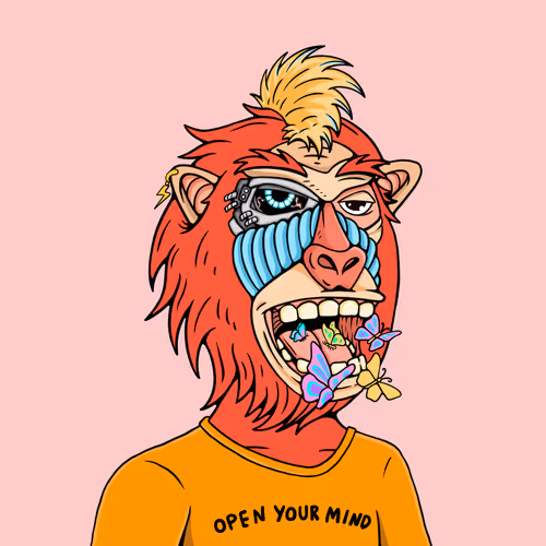 Mindful Monkz