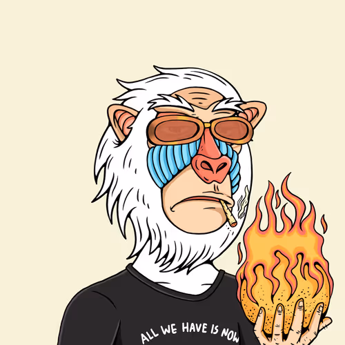 Mindful Monkz