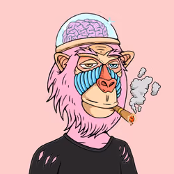 MONK #2122