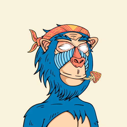 MONK #538