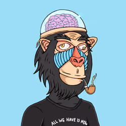 MONK #2223