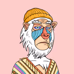 MONK #5203