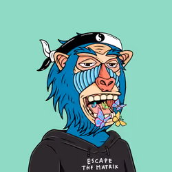 MONK #519