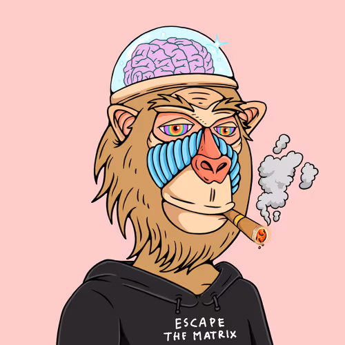 Mindful Monkz