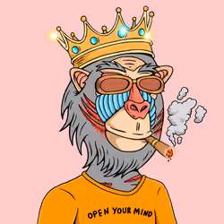 MONK #5288