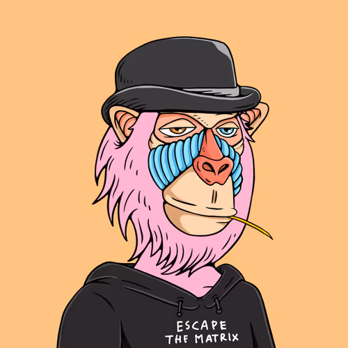 Mindful Monkz