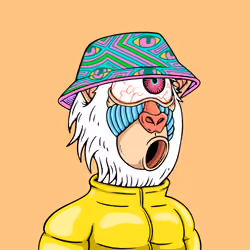 MONK #3479