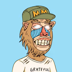 MONK #2446