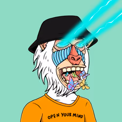 MONK #3538