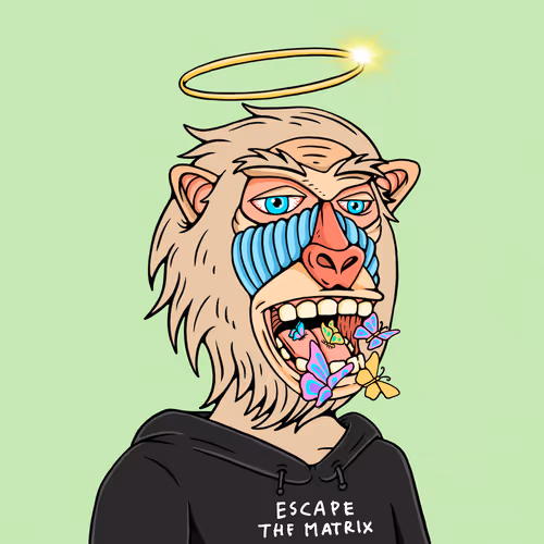 Mindful Monkz