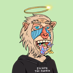 MONK #2606