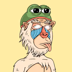 MONK #2579