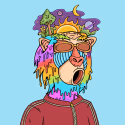 MONK #4323