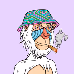 MONK #1565