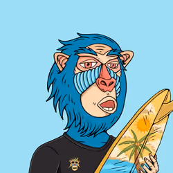 MONK #1162