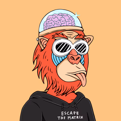 Mindful Monkz
