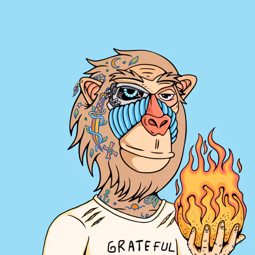Mindful Monkz