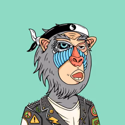 MONK #1237