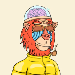 MONK #4199