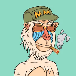 MONK #1626