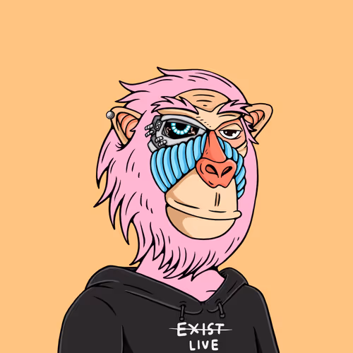 Mindful Monkz
