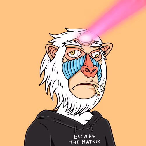 Mindful Monkz