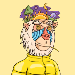 MONK #1625