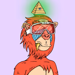 MONK #4331
