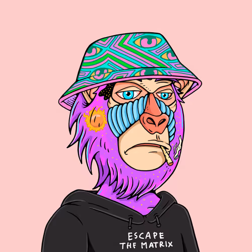 Mindful Monkz