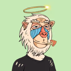 MONK #2648
