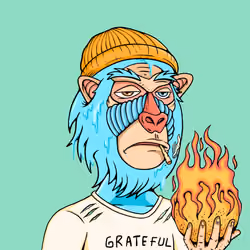 MONK #3498